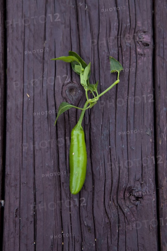 Close up of fresh chili pepper on board