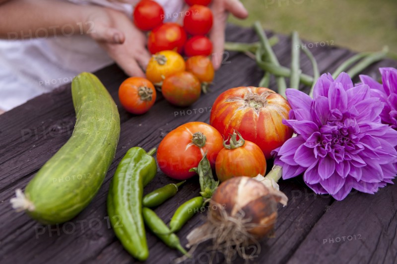 Mixed race woman gathering vegetables and flowers