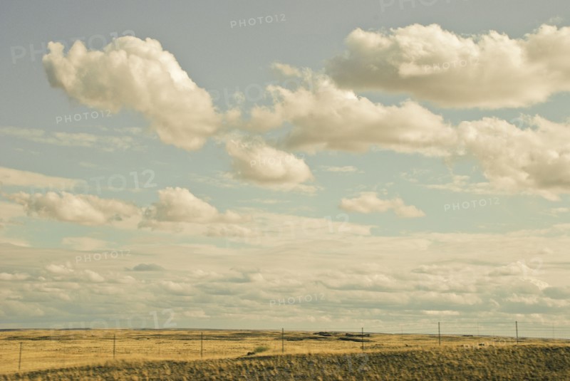 Fenced fields in rural landscape