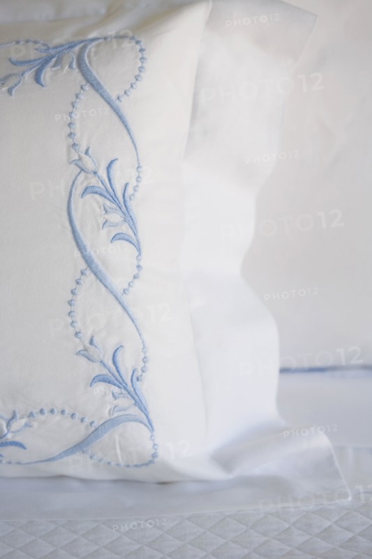 Close up of embroidery on pillow