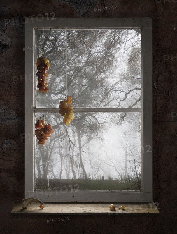 Bunches of grapes hanging in window