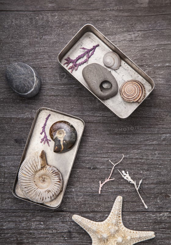Tins of collected seashells and pebbles
