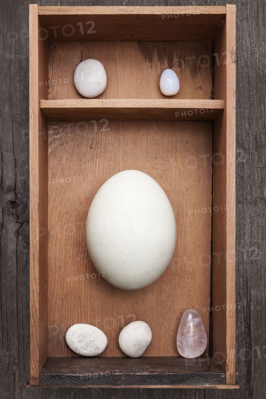 Rocks