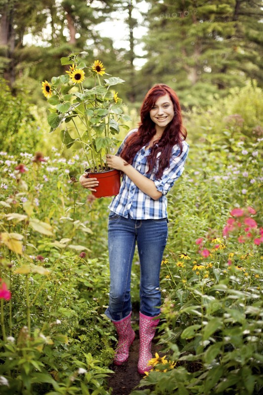 Gardener carrying sunflower plant in field