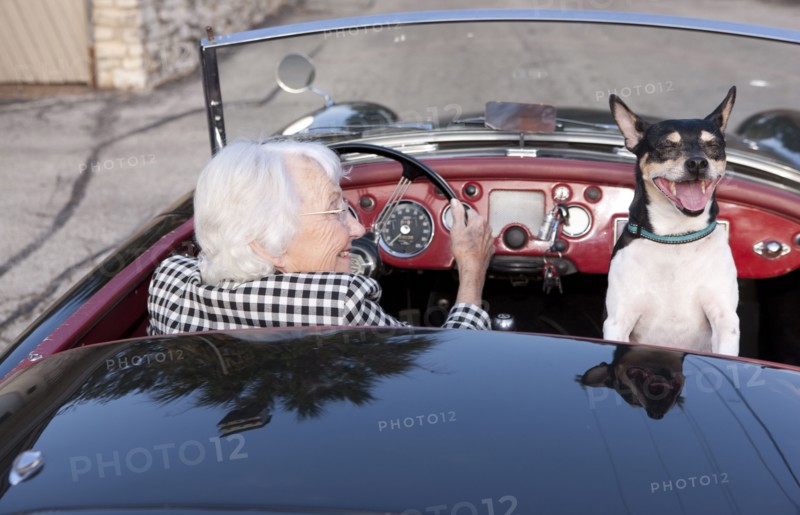 Older woman driving convertible with dog