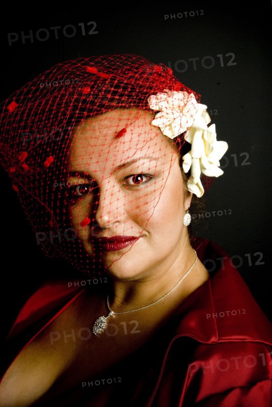 Mixed race woman wearing birdcage veil