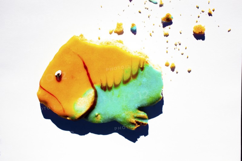 Crumbling cookie in fish shape
