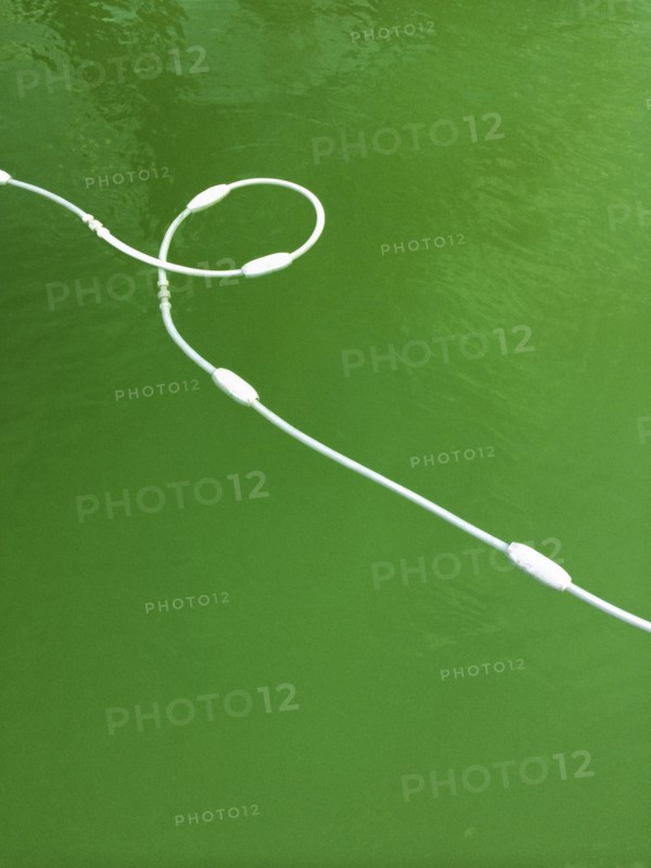 High angle view of buoy cord in lake