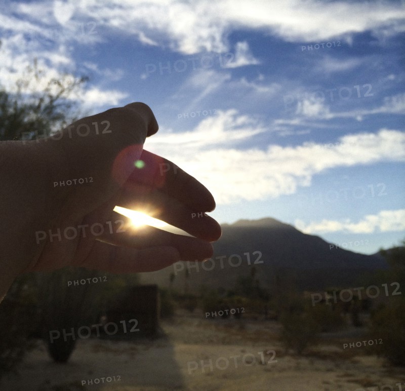 Close up of hand obscuring sunlight in field