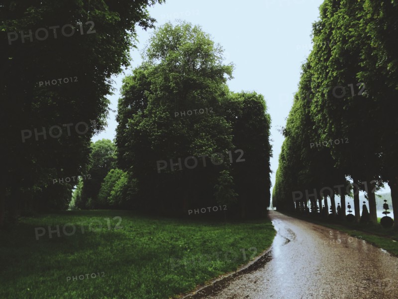 Rainy path in urban park