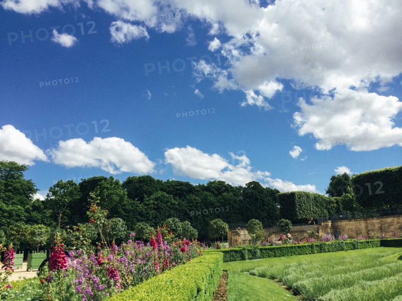 Manicured gardens under blue sky