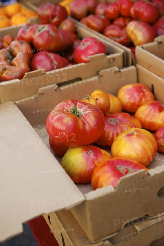Crates of varieties of fresh tomatoes