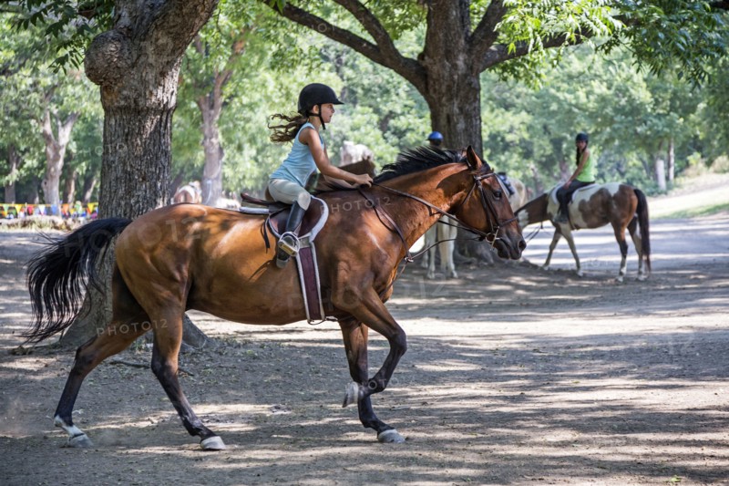 Equestrian girl riding horse on ranch