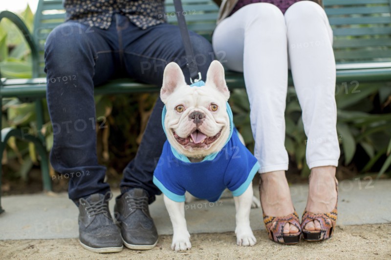 Couple sitting on bench with dog