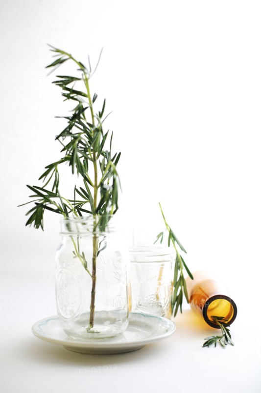 Rosemary sprigs in jars