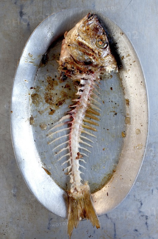 Plate of grilled fish skeleton