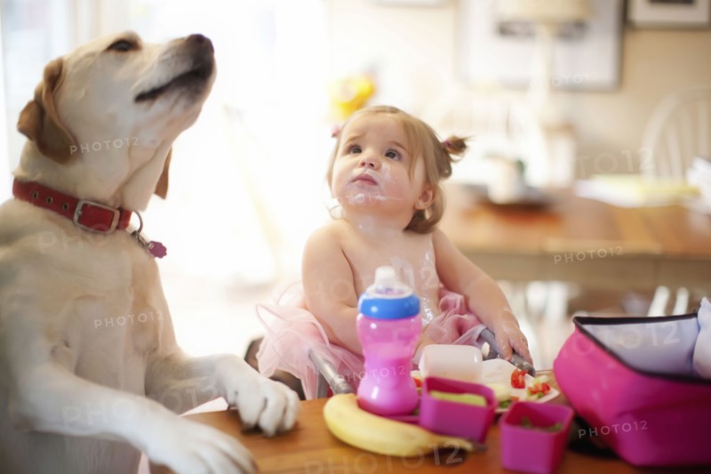 Caucasian girl and dog eating at table
