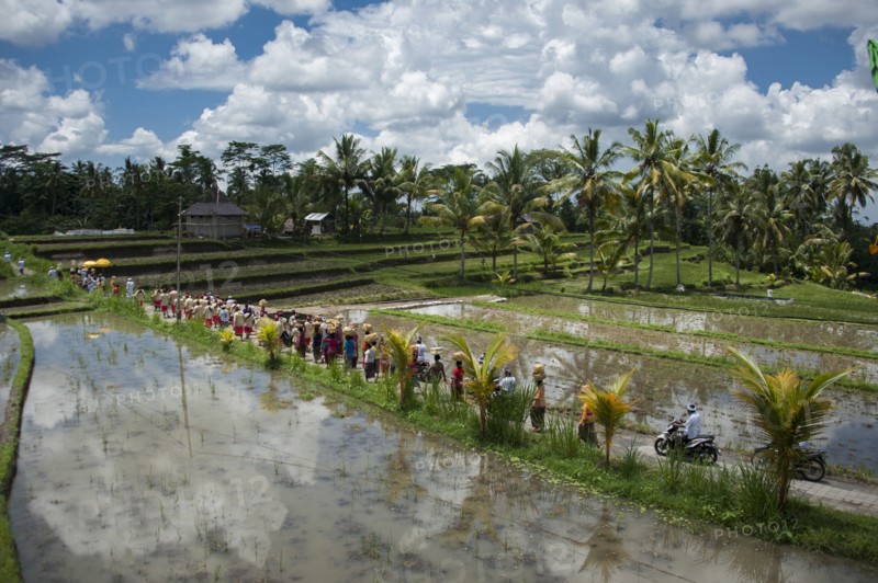 Tourists walking on rural field between farm fields