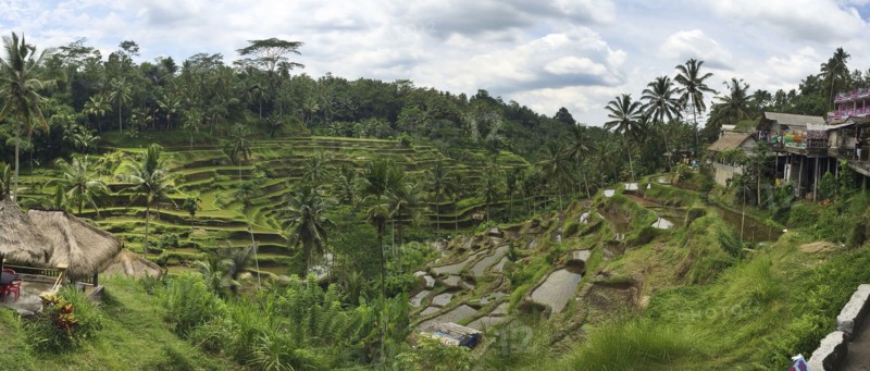 Rural rice terraces on hillside