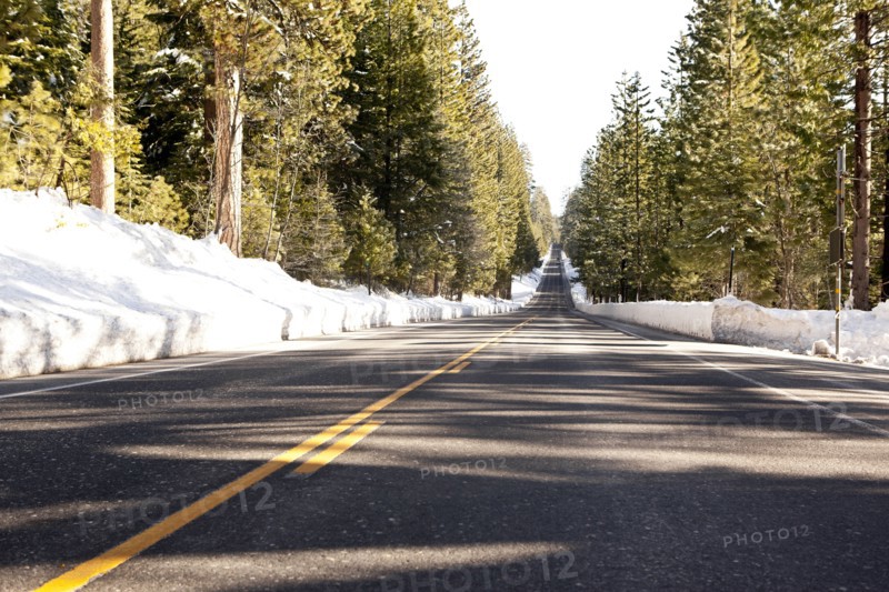 Road through snow covered forest