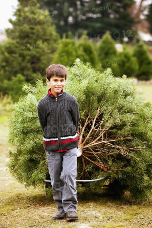 Mixed race boy pulling tree behind him