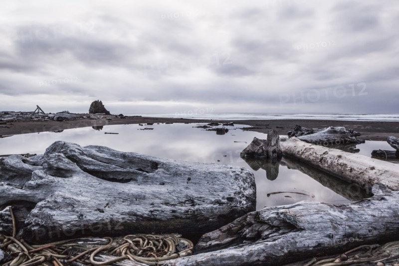 Driftwood and rocks on beach