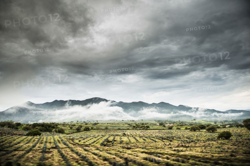 Rural crop fields under cloudy sky