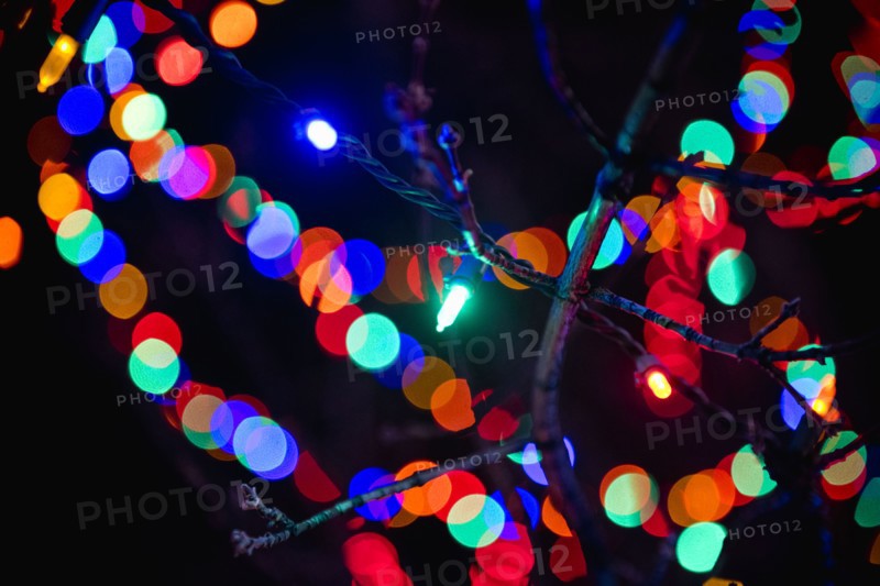 Defocused lights behind tree branch