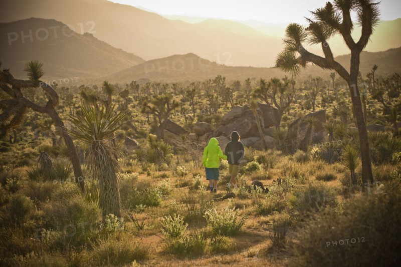Distant boys walking in desert