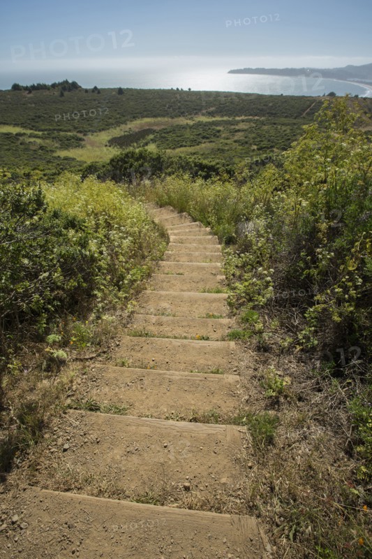 High angle view of steps on rural hillside