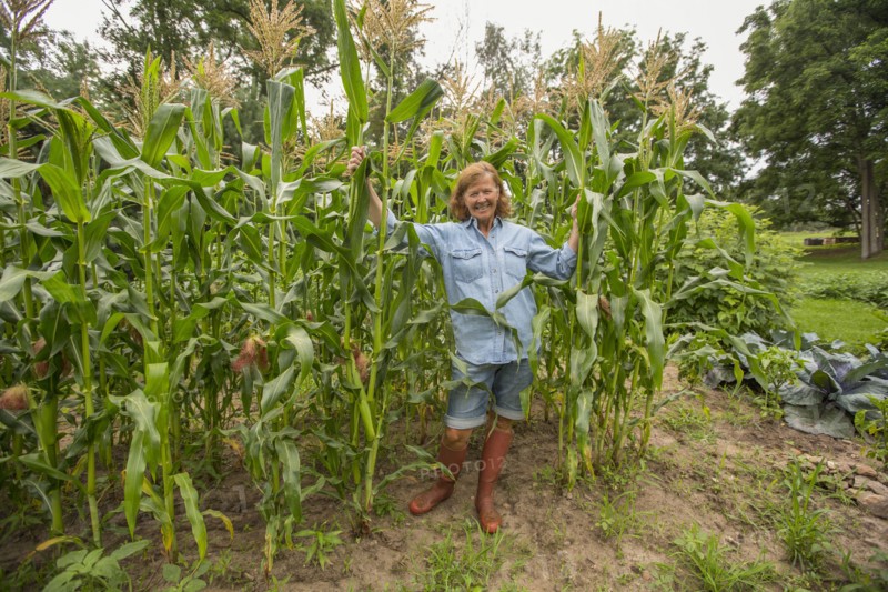 Older Caucasian woman standing in corn field on farm