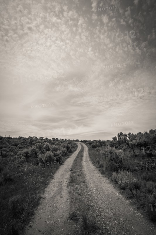 Empty road in desert landscape