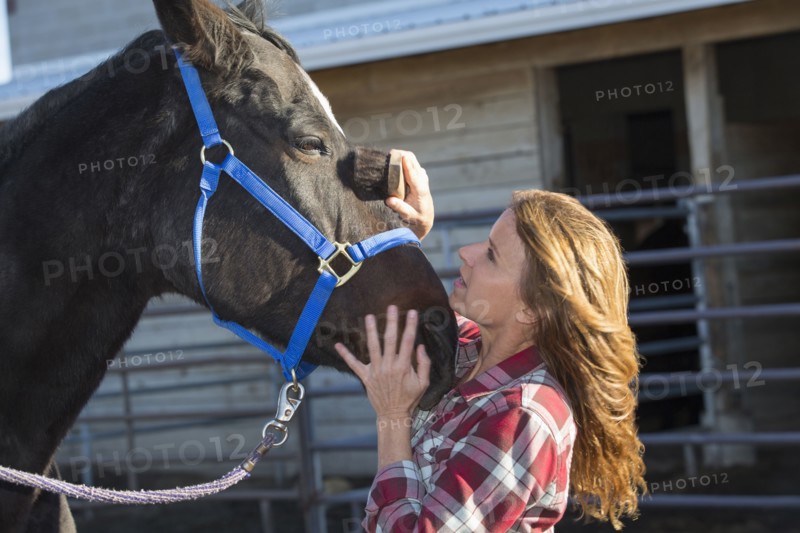 Caucasian woman grooming horse on ranch