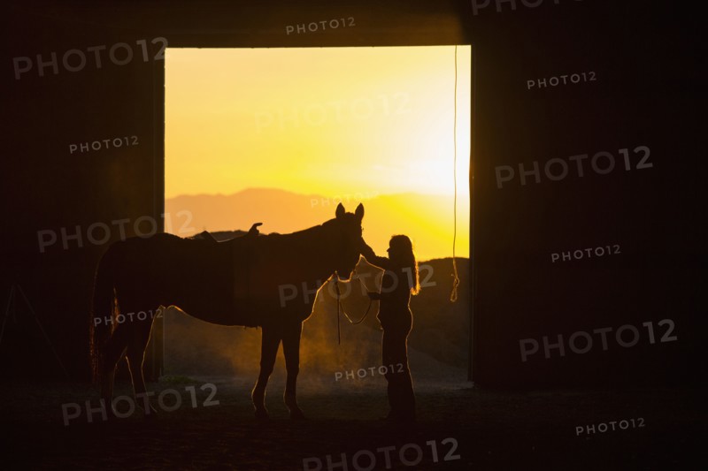 Caucasian woman grooming horse in barn
