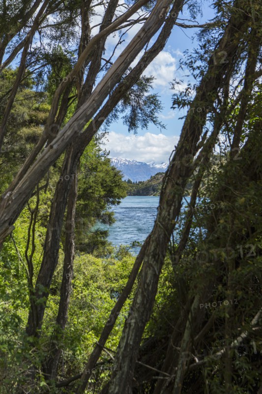 River in remote landscape through trees