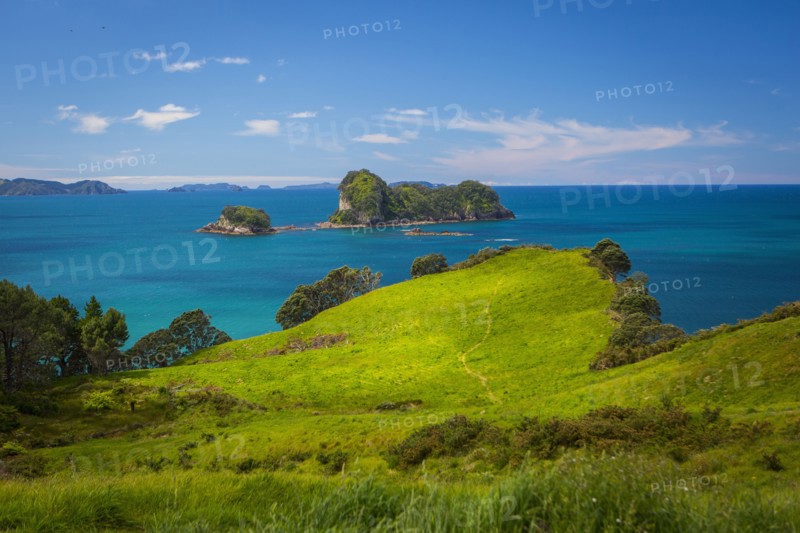 Grassy cliff and remote seascape