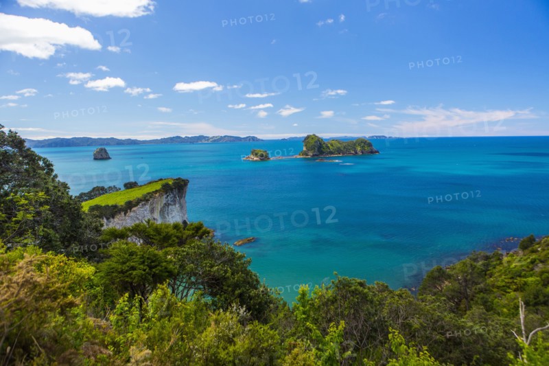 Lush cliff and remote seascape