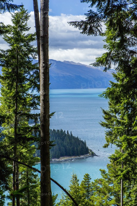 Forested island in remote lake