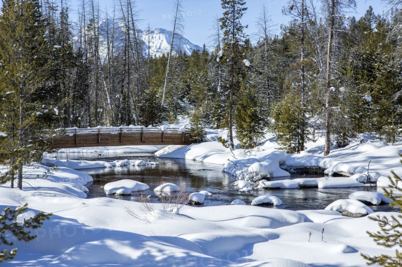Footbridge over river in snowy forest