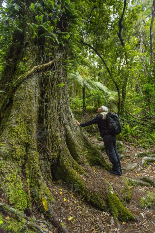 Caucasian hiker leaning on tree in forest