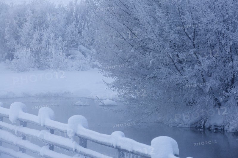 Fence and snowy trees over remote river