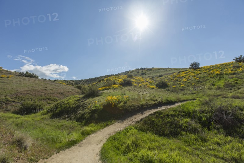 Dirt path in rolling landscape