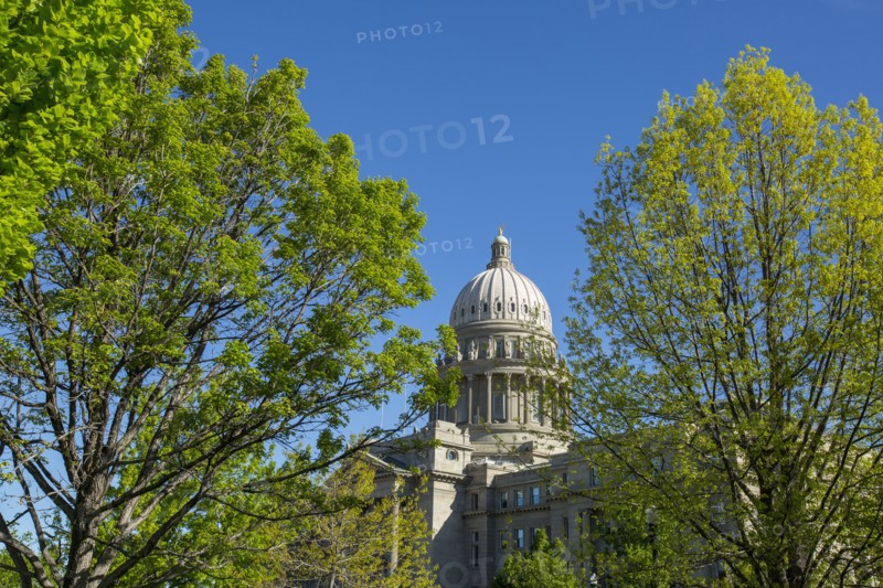 Dome of building behind trees