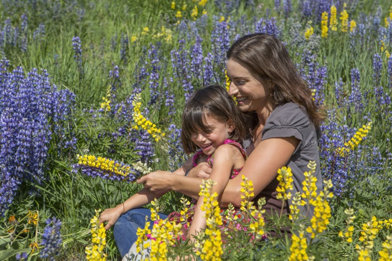 Caucasian mother and daughter sitting on hillside with wildflowers