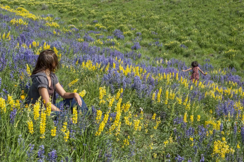 Caucasian mother watching daughter running on hillside with wildflowers