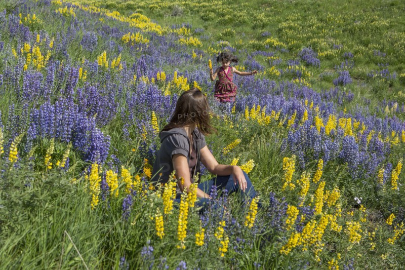Caucasian mother watching daughter running on hillside with wildflowers
