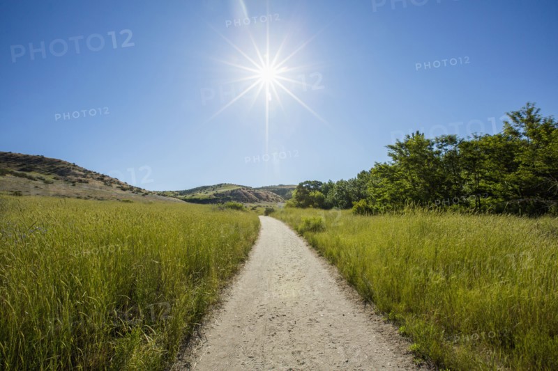 Dirt path in sunny rolling landscape