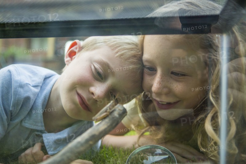 Caucasian brother and sister examining grasshopper
