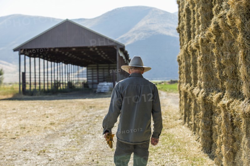 Caucasian farmer walking near stacks of hay