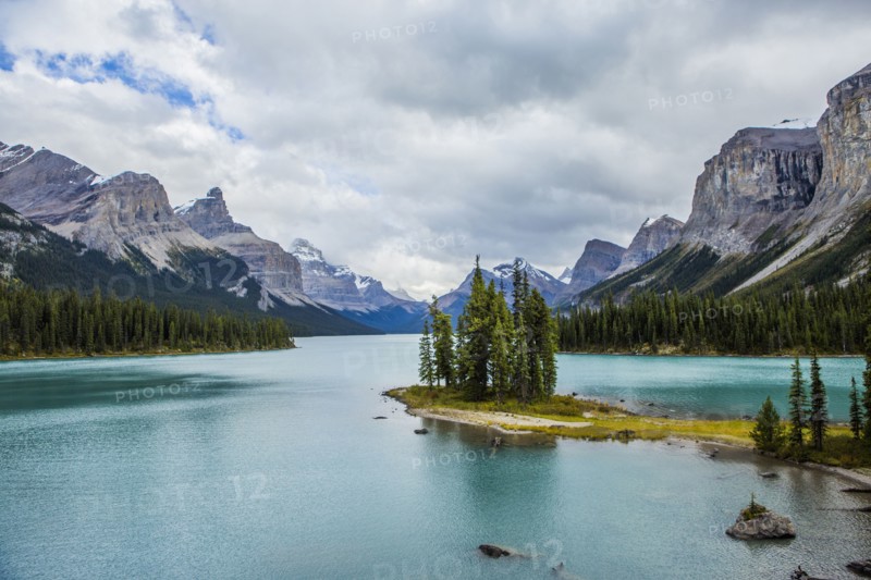 Trees in mountain lake